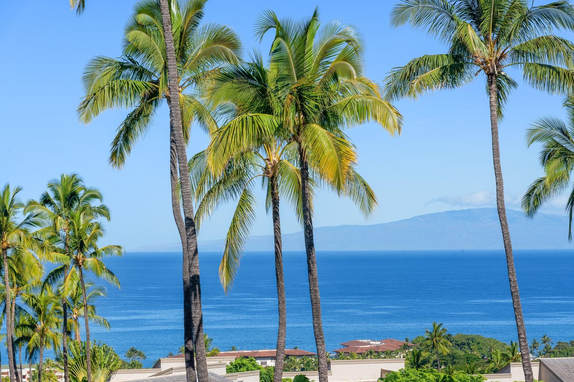 10 Wailea Ekolu Pl 1706