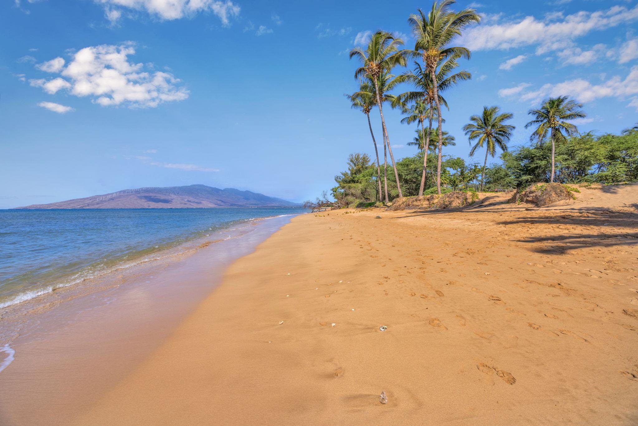 1450 S Kihei Rd C206