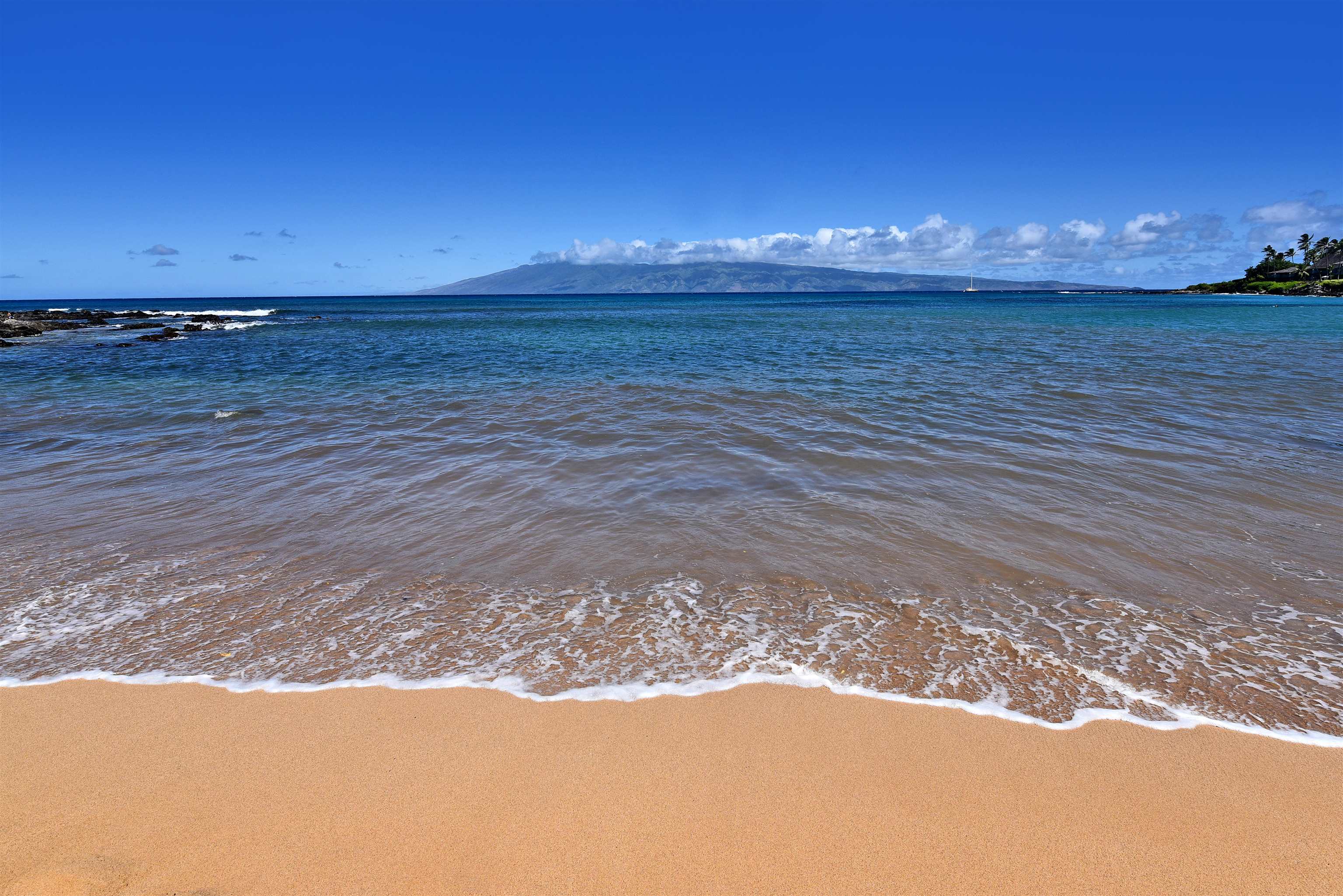 5315 Lower Honoapiilani Rd F151