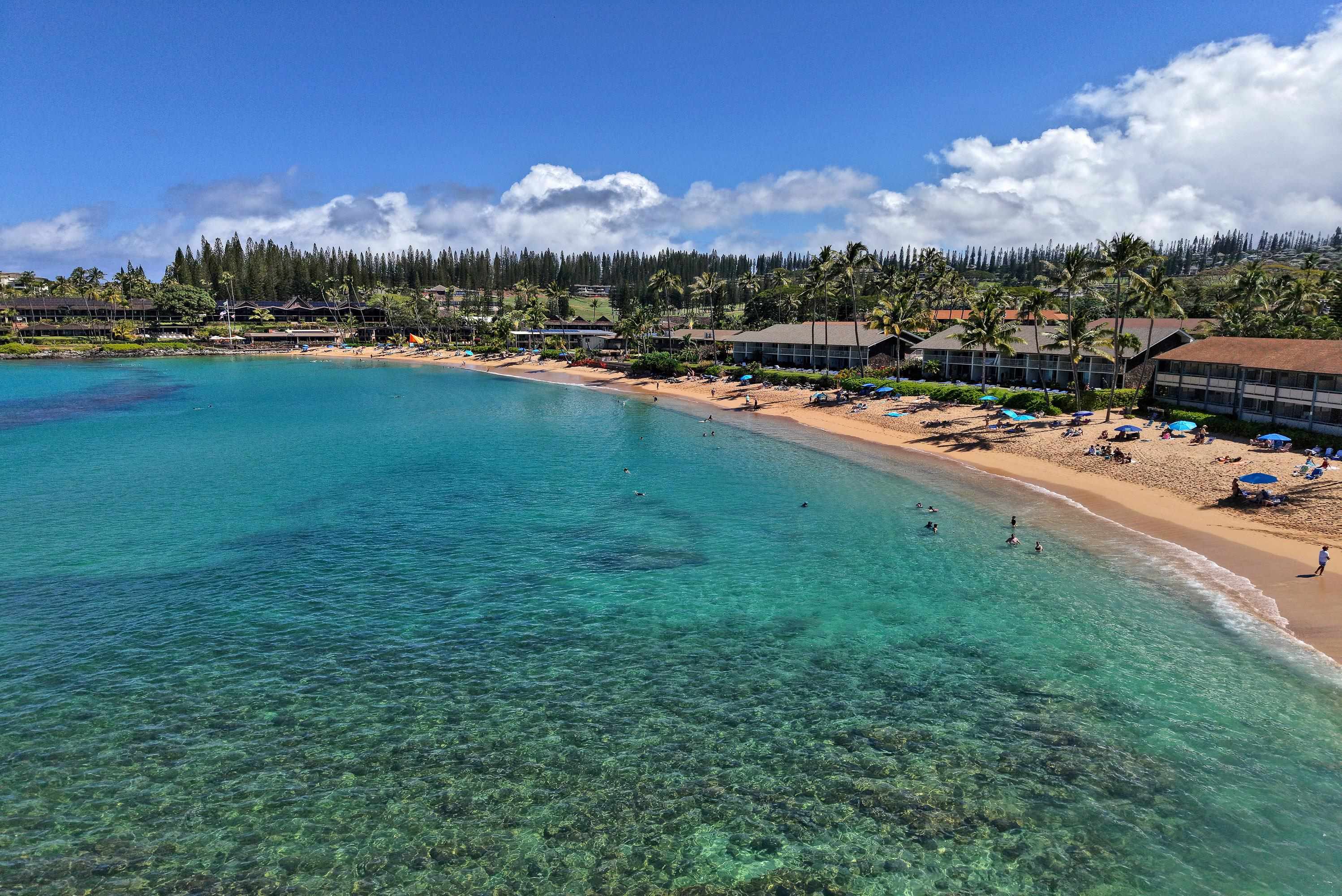 5315 Lower Honoapiilani Rd F151