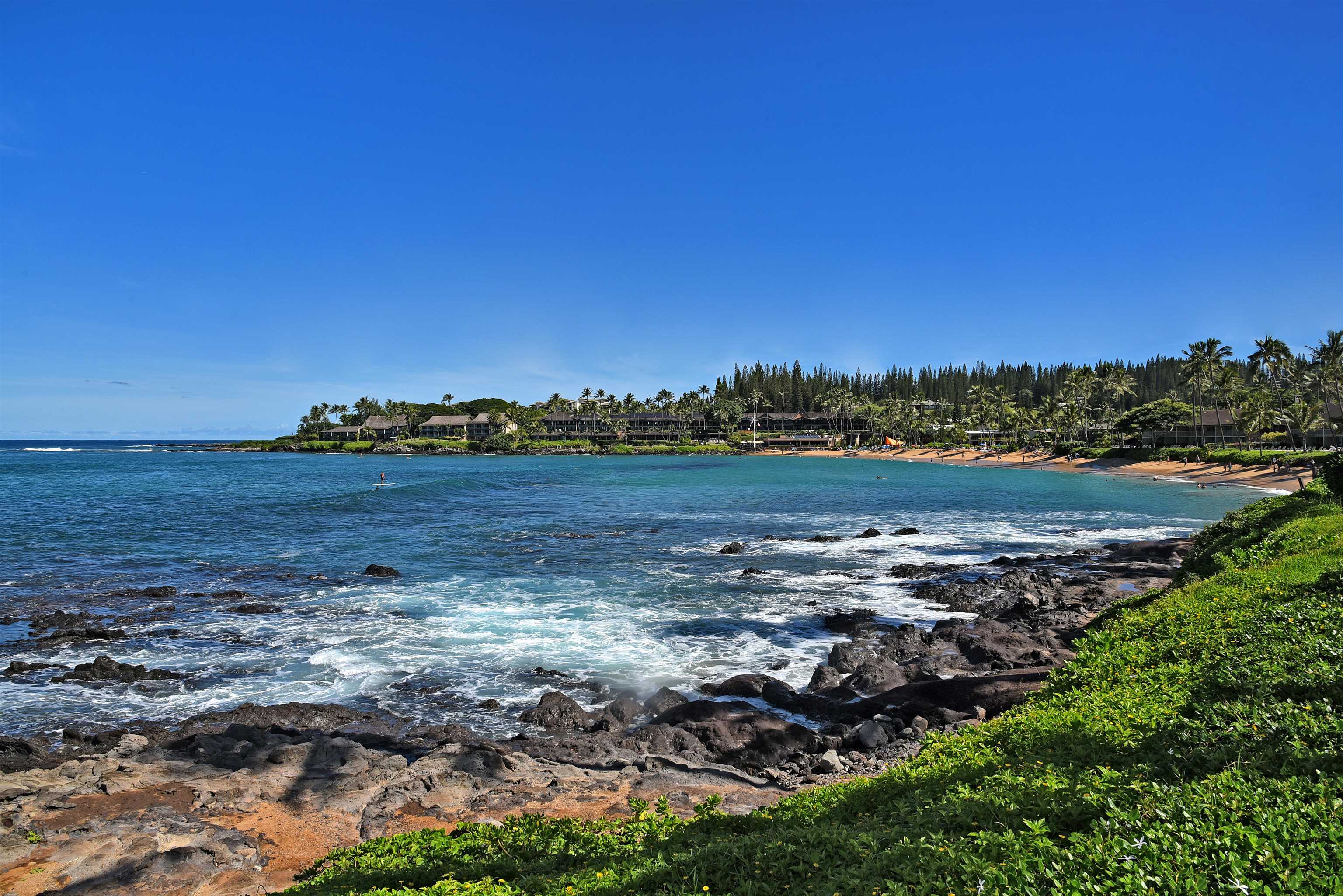 5315 Lower Honoapiilani Rd F151