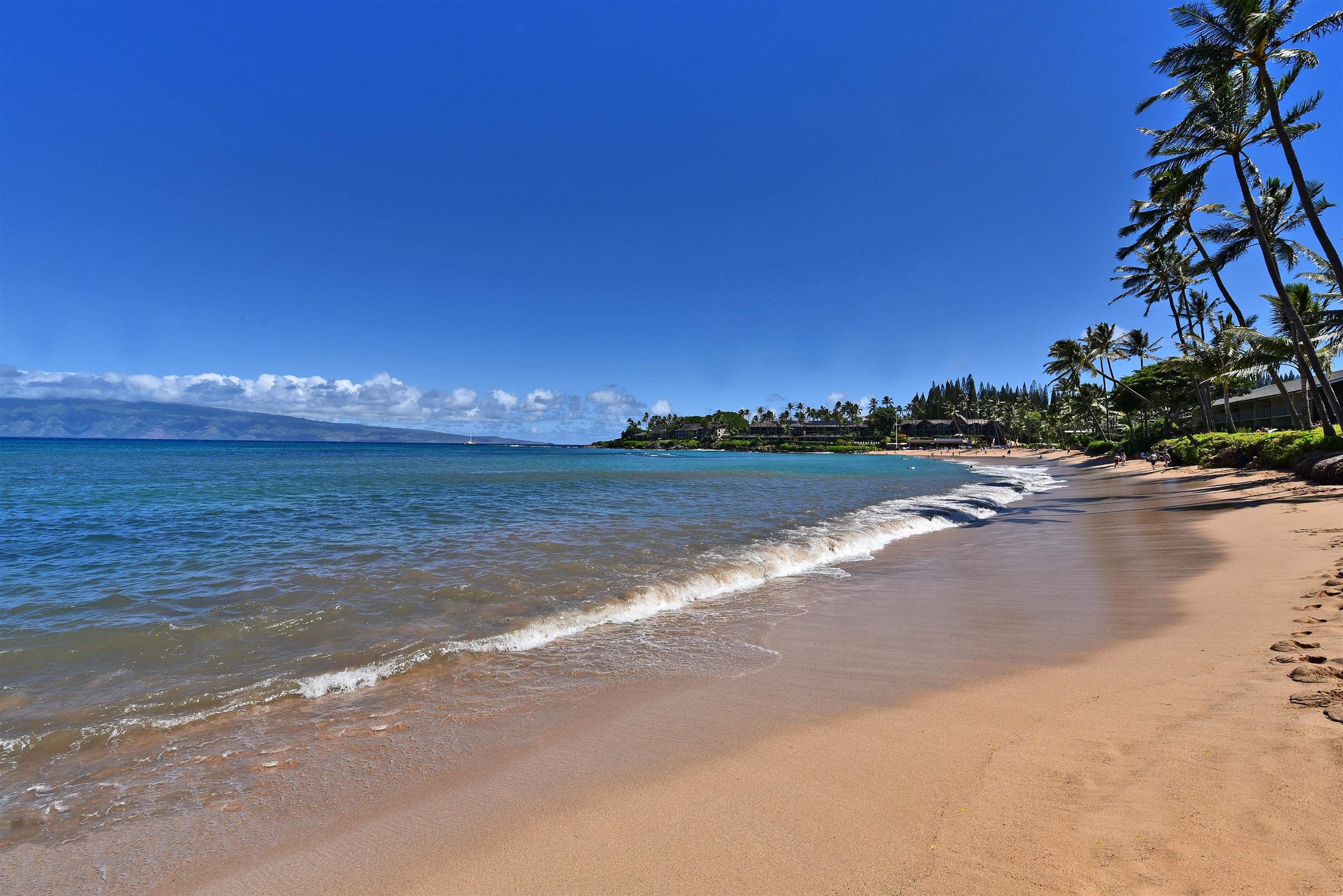 5315 Lower Honoapiilani Rd F151