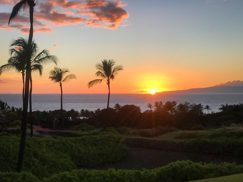 Photo of 61 Kainehe Pl #61, Kihei, HI 96753 (MLS # 407486)