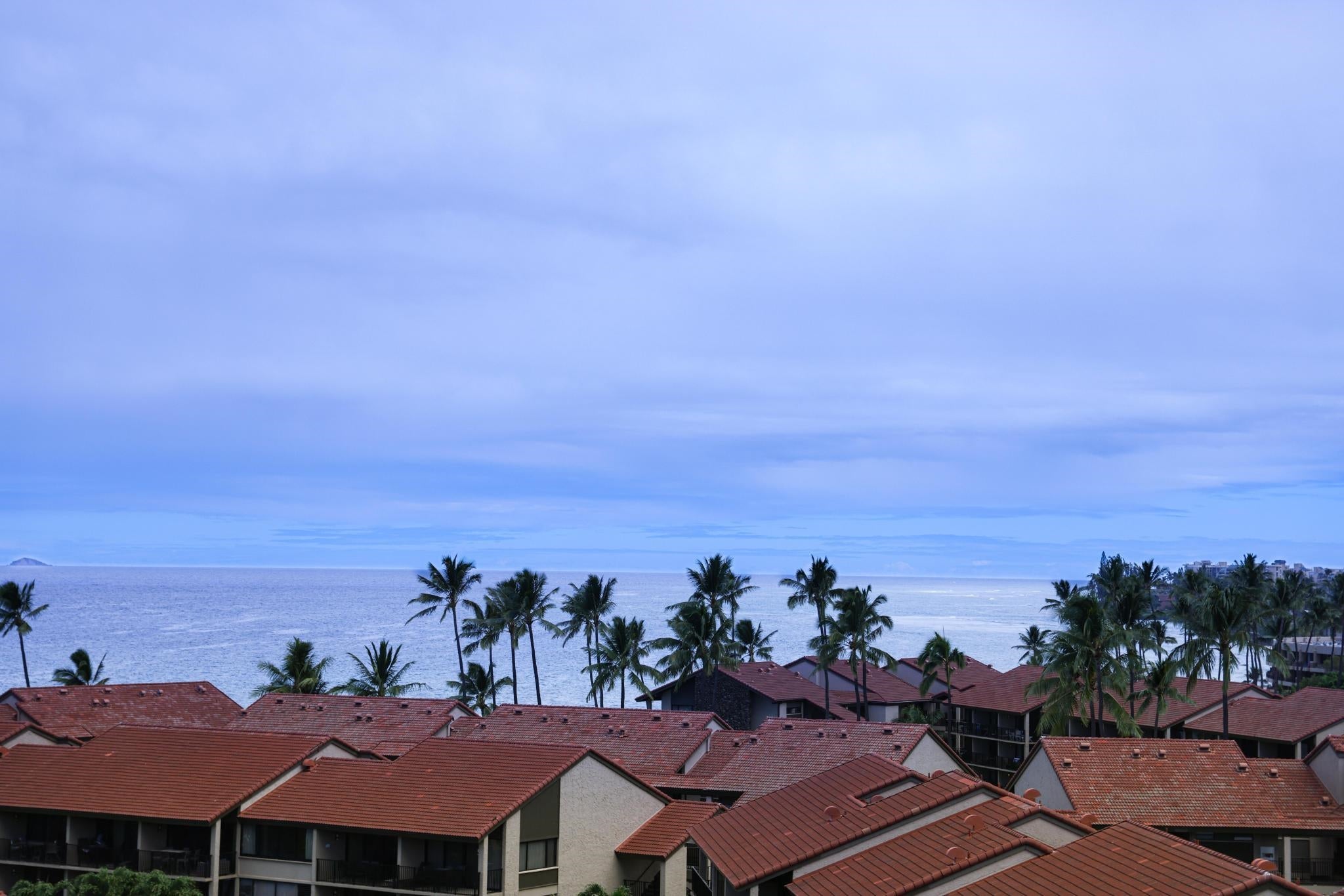 3445 Lower Honoapiilani Rd 930