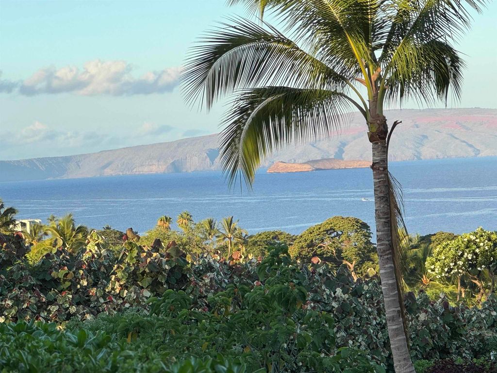 Photo of 52 Kai Malu Dr #102 (9B), Kihei, HI 96753 (MLS # 407579)