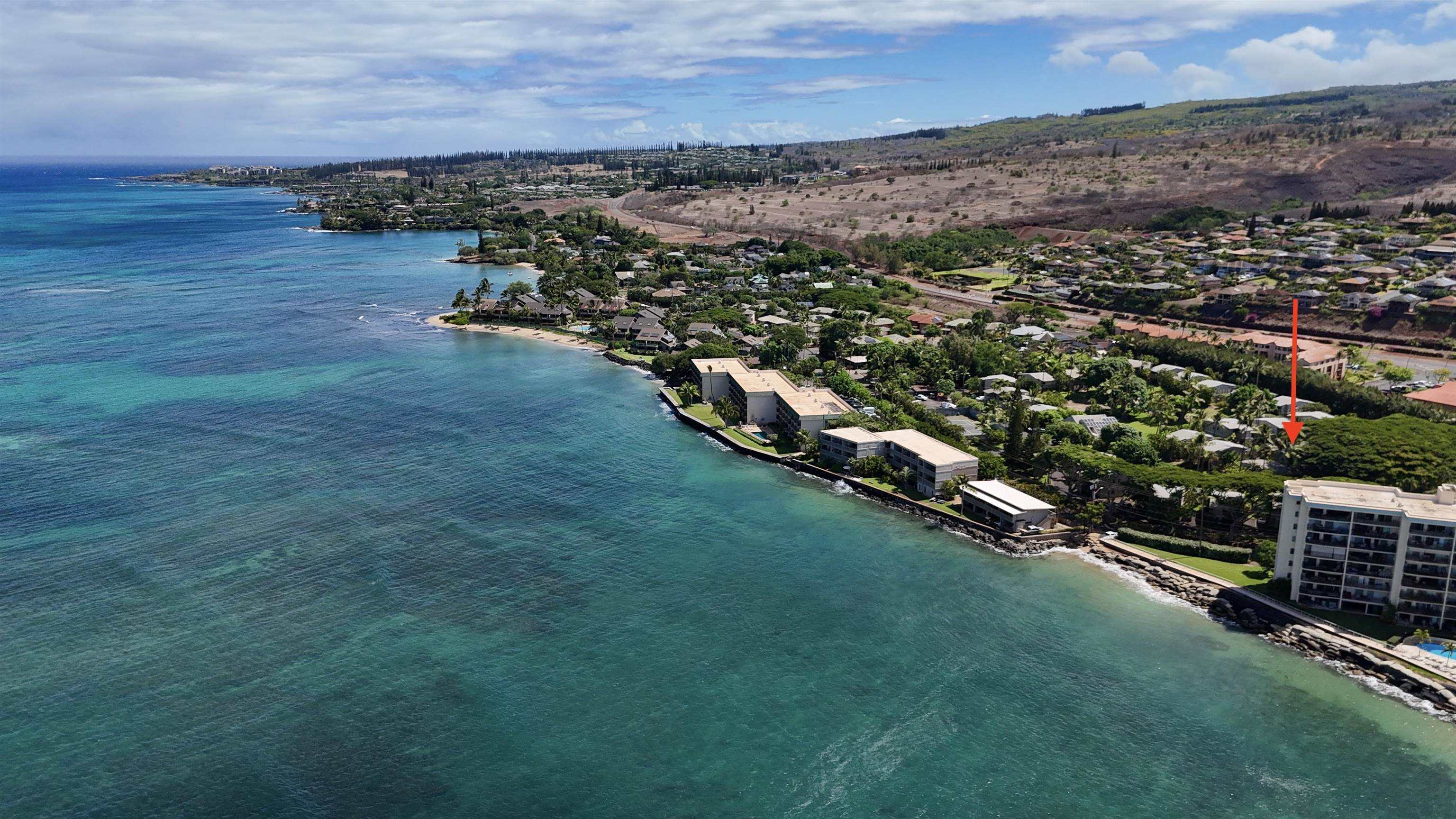 4440 Lower Honoapiilani Rd 237