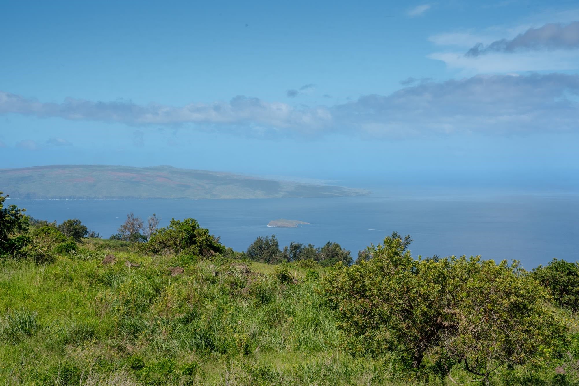 275 Kealakapu Rd