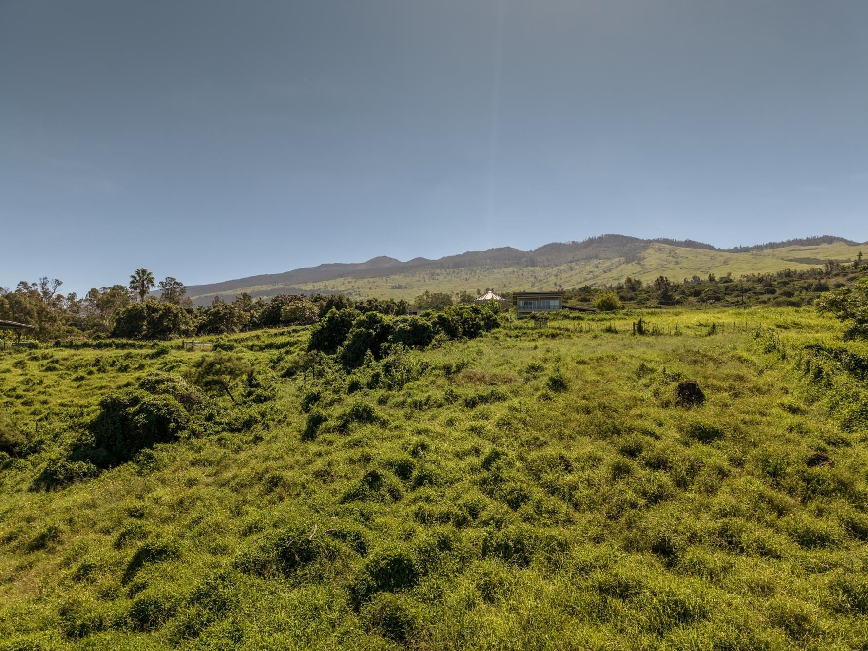 275 Kealakapu Rd