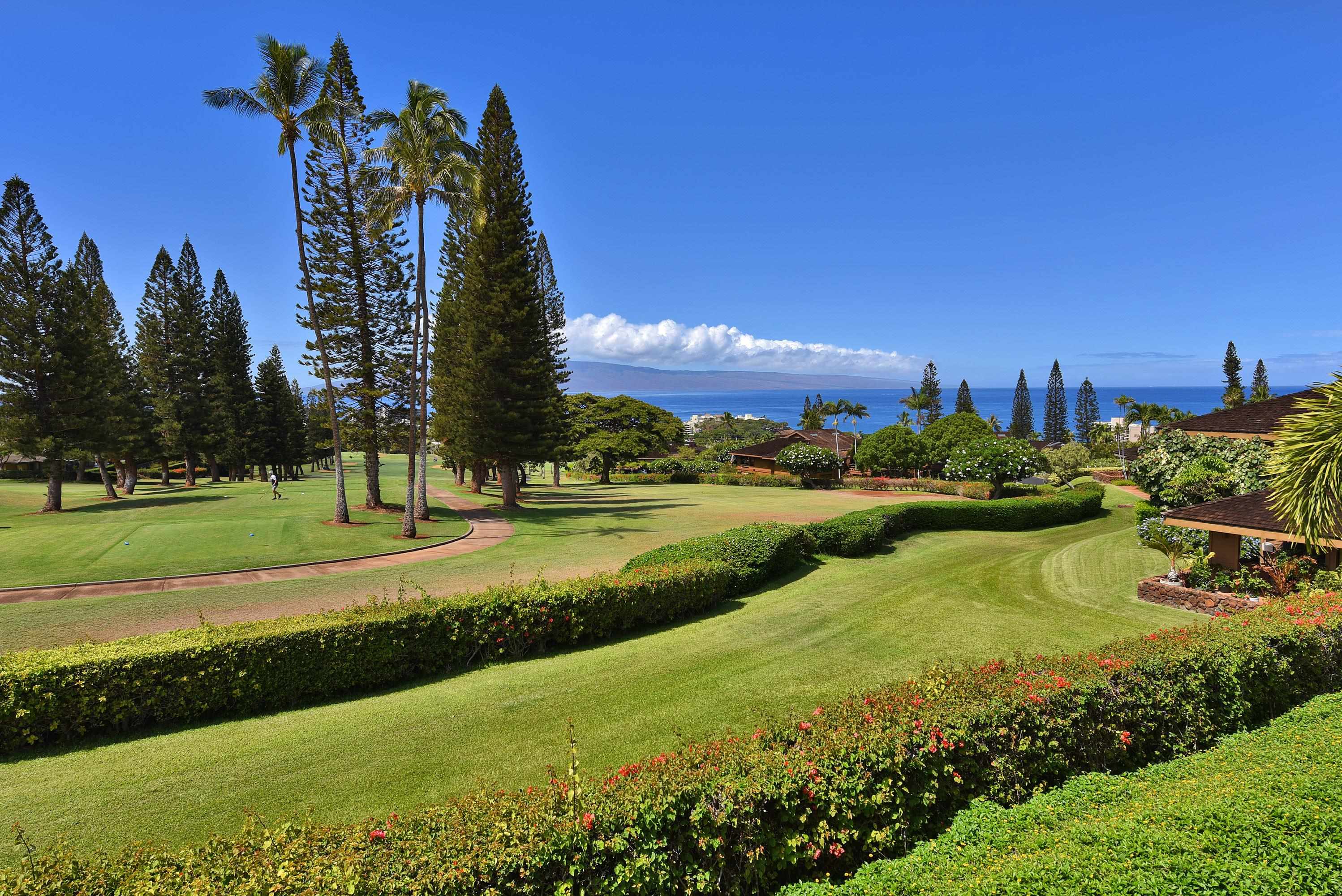 50 Puu Anoano St 1904