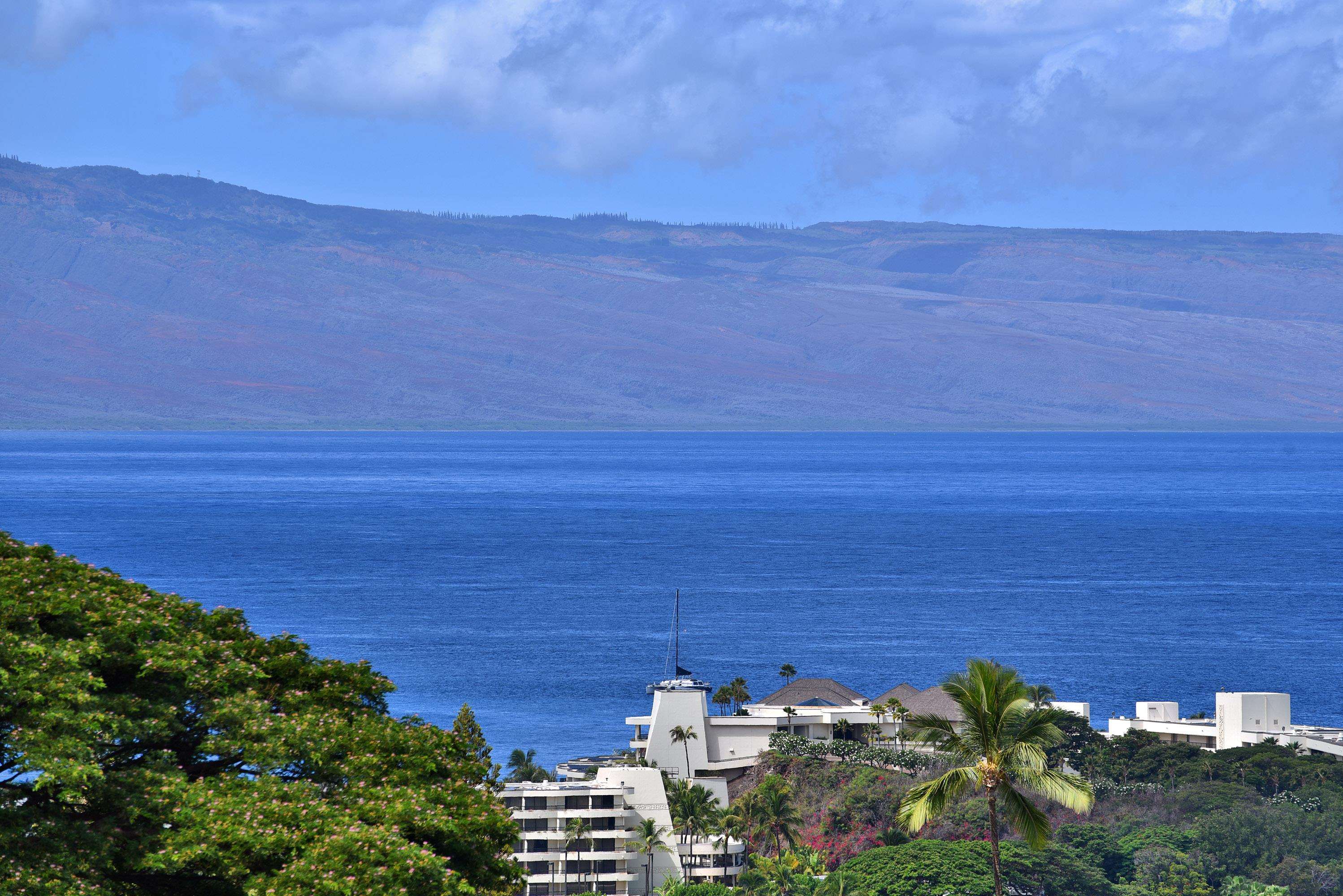 50 Puu Anoano St 1904