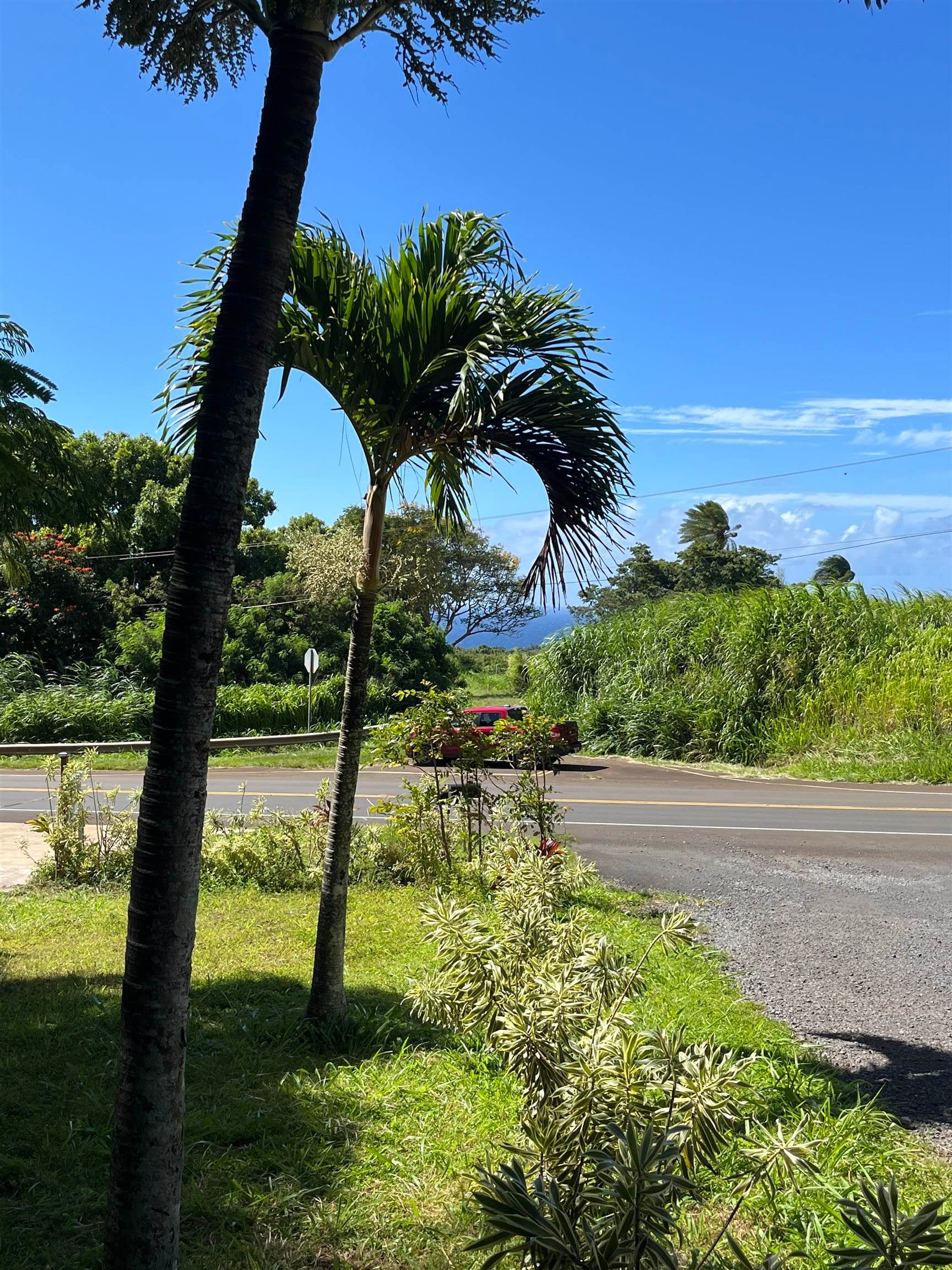2762 Hana Hwy CPR B