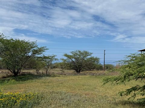 3546 Akala Dr Kihei HI 96753