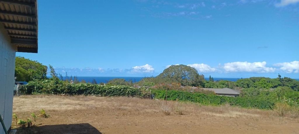 Photo of 2676 Kalanikahua Rd, Haiku, HI 96708 (MLS # 407070)