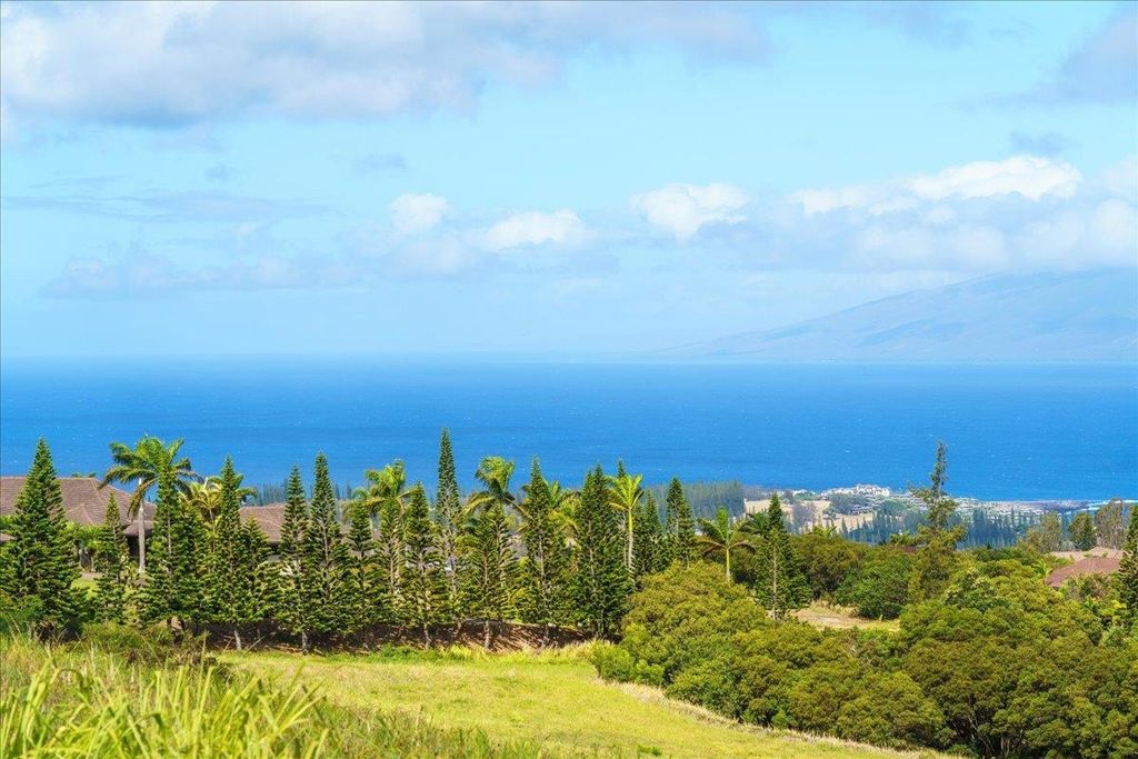 Photo of 218 Keoawa St #16, Lahaina, HI 96761 (MLS # 407339)