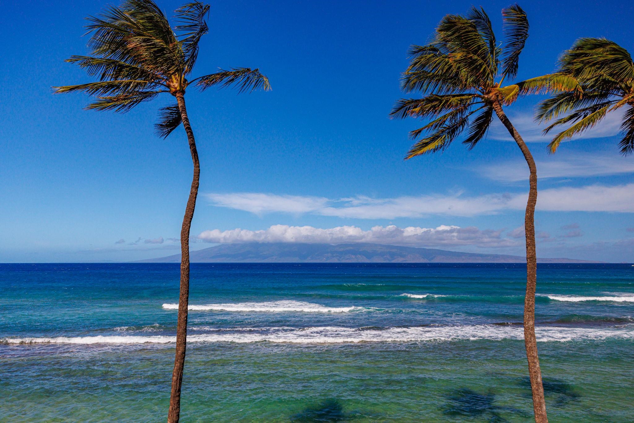 3543 Lower Honoapiilani Rd F303