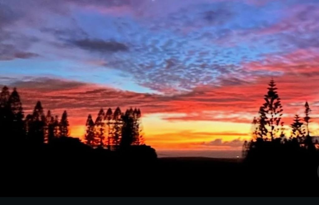 Photo of 34 Linohau Pl #Lot 458, Maunaloa, HI 96770 (MLS # 407314)