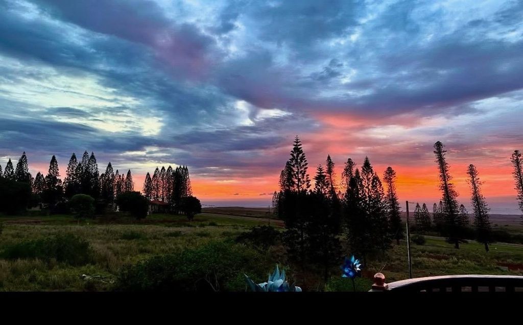 Photo of 34 Linohau Pl #Lot 458, Maunaloa, HI 96770 (MLS # 407314)