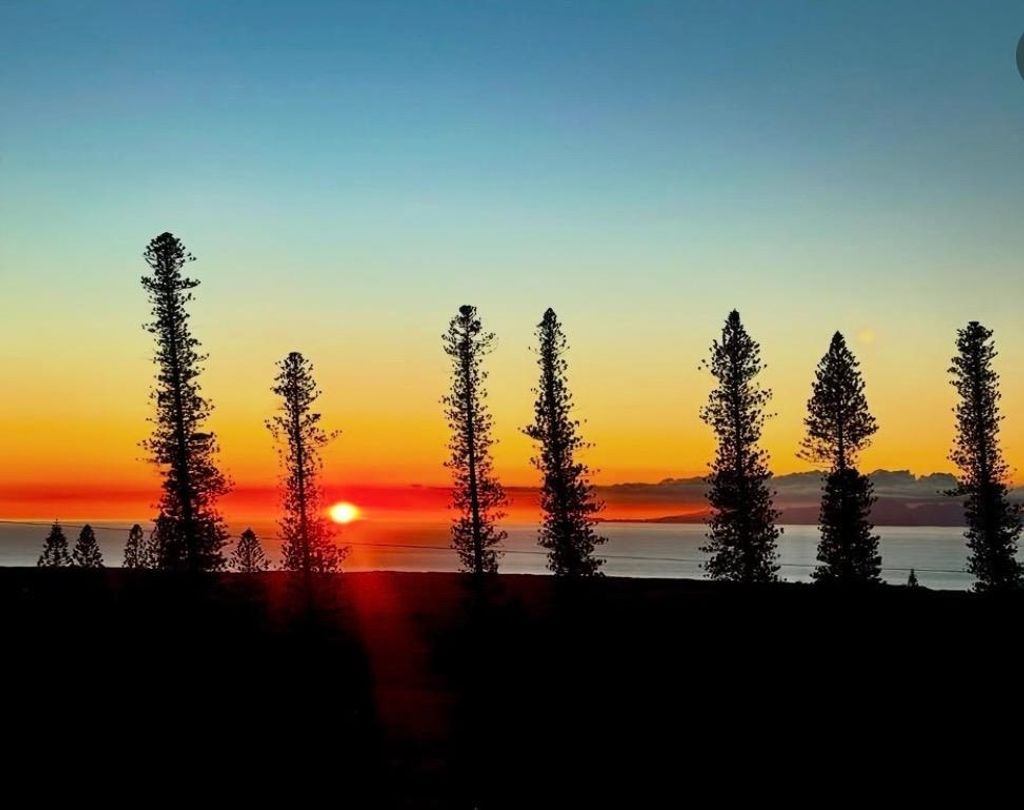 Photo of 34 Linohau Pl #Lot 458, Maunaloa, HI 96770 (MLS # 407314)