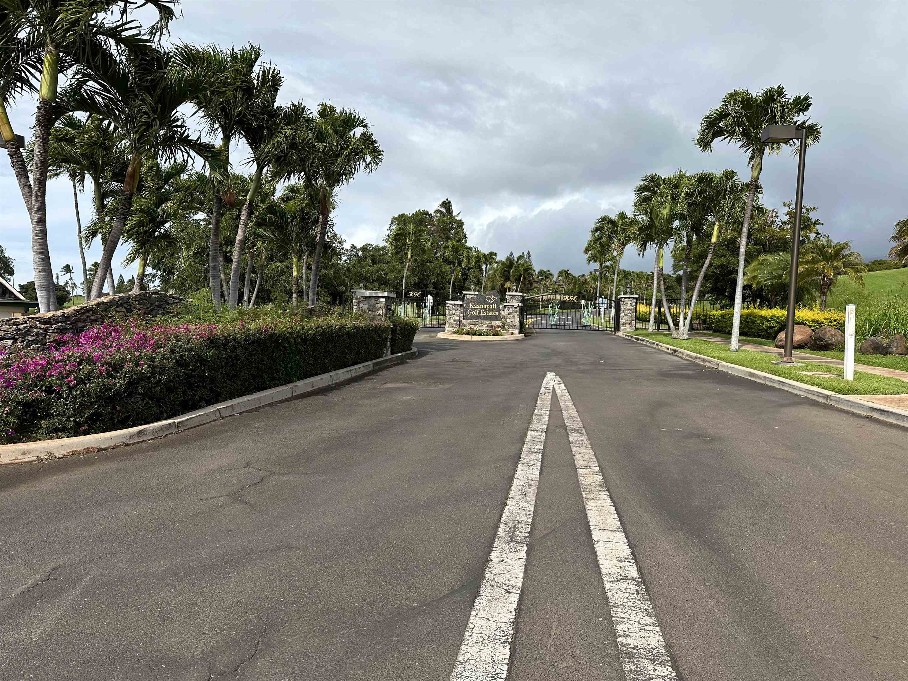 Lahaina, Hawaii 96761, United States, ,Land,Active,73424