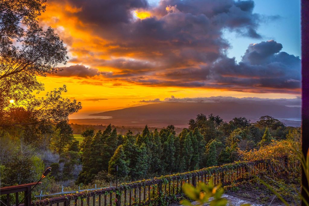 Photo of 1854 Olinda Rd, Makawao, HI 96768 (MLS # 408071)