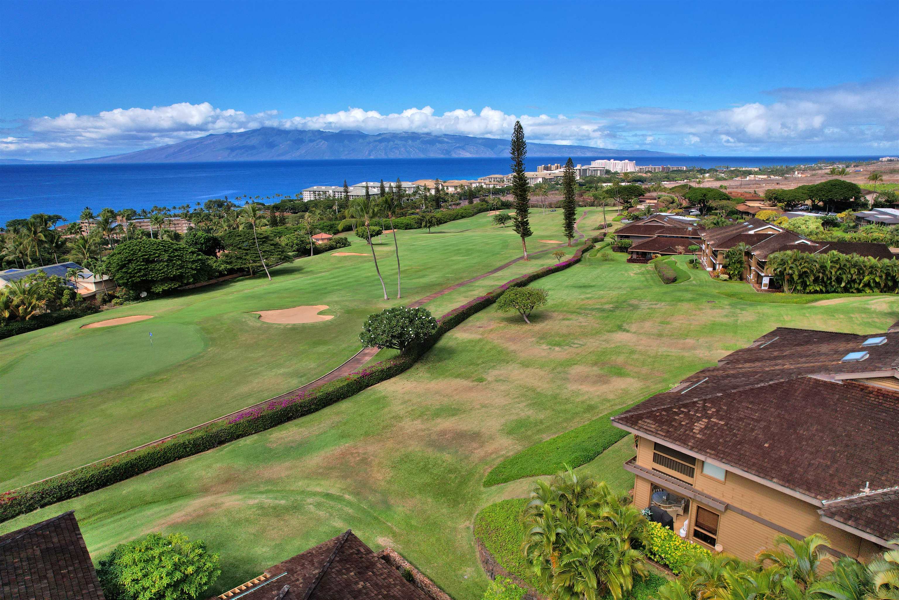 50 Puu Anoano St 1005