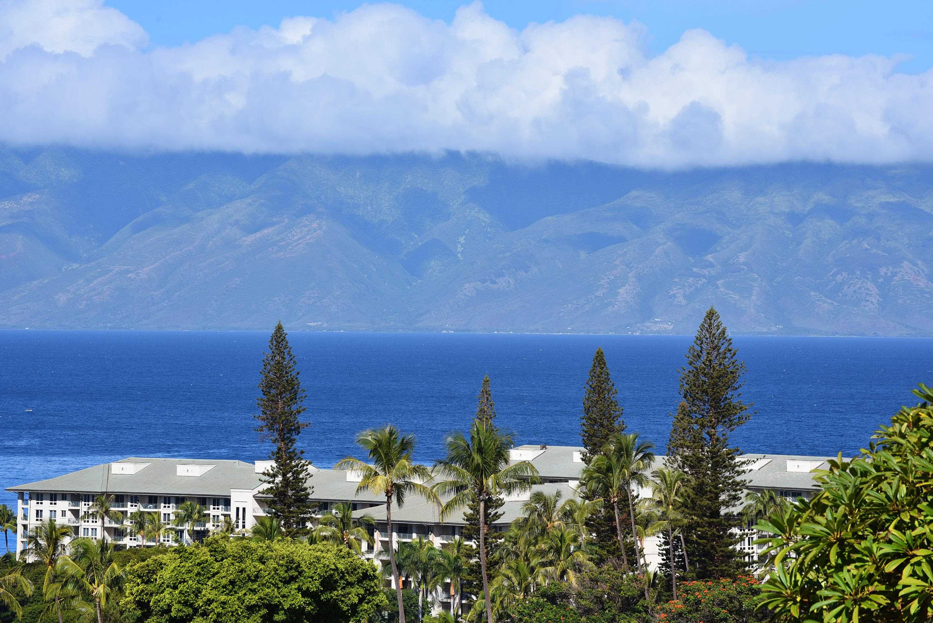 50 Puu Anoano St 1005