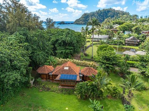 Photo of 165 Waikoloa Rd, Hana, HI 96713 (MLS # 407458)