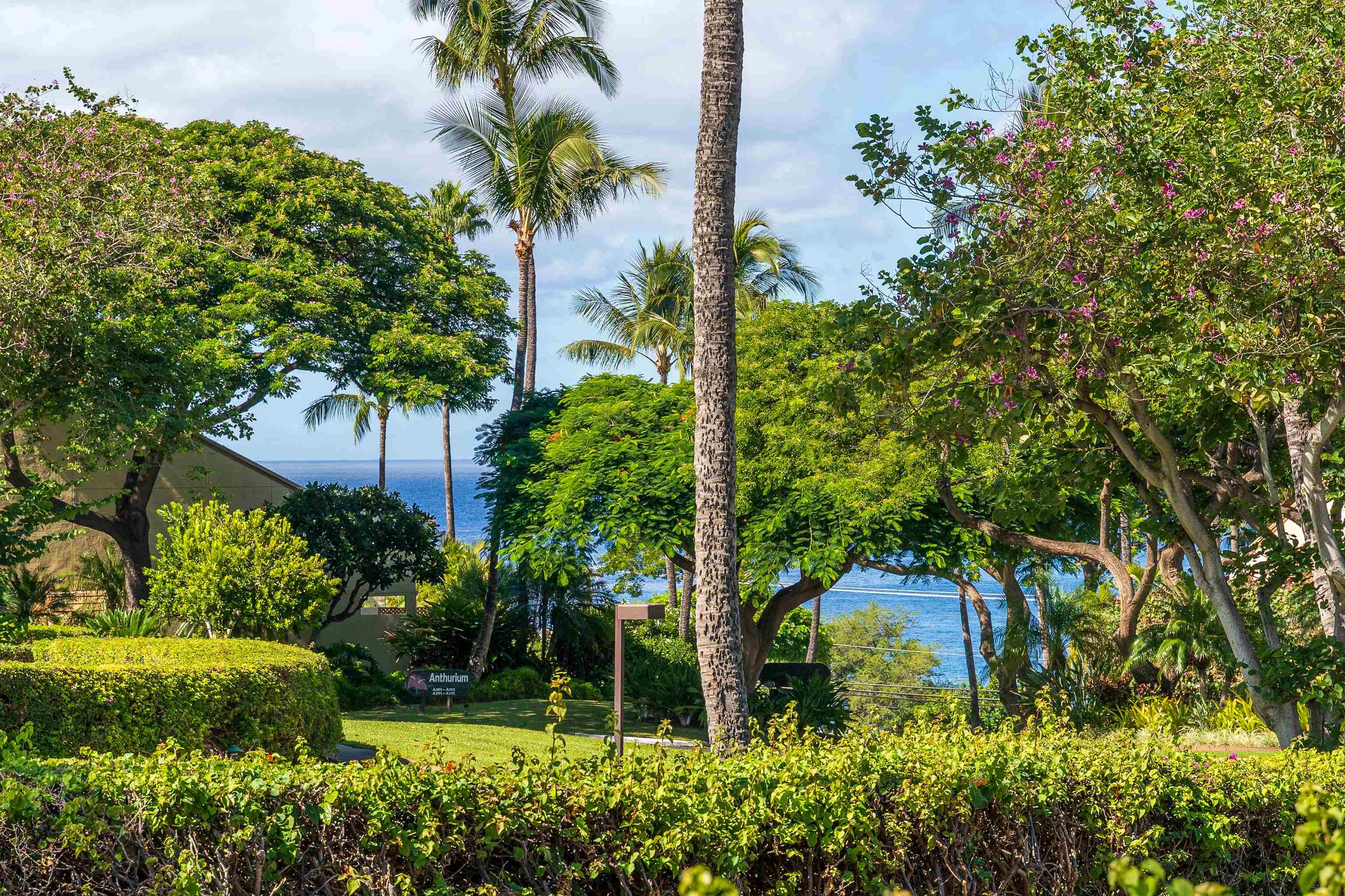 2777 S Kihei Rd I103
