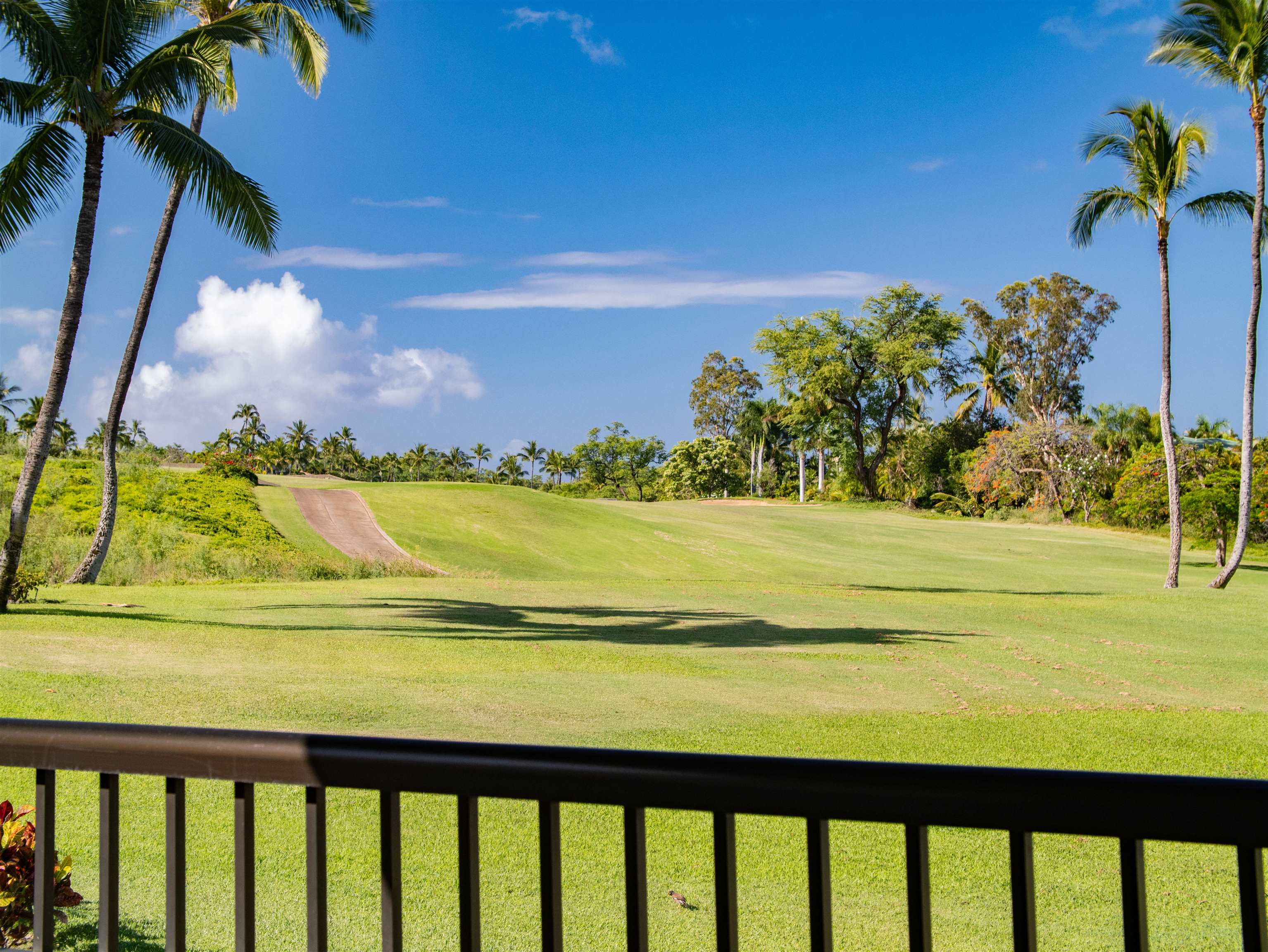 10 Wailea Ekolu Pl 1204