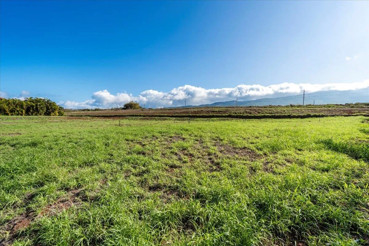 Lahaina, Hawaii 96761, United States, ,Land,Active,6743