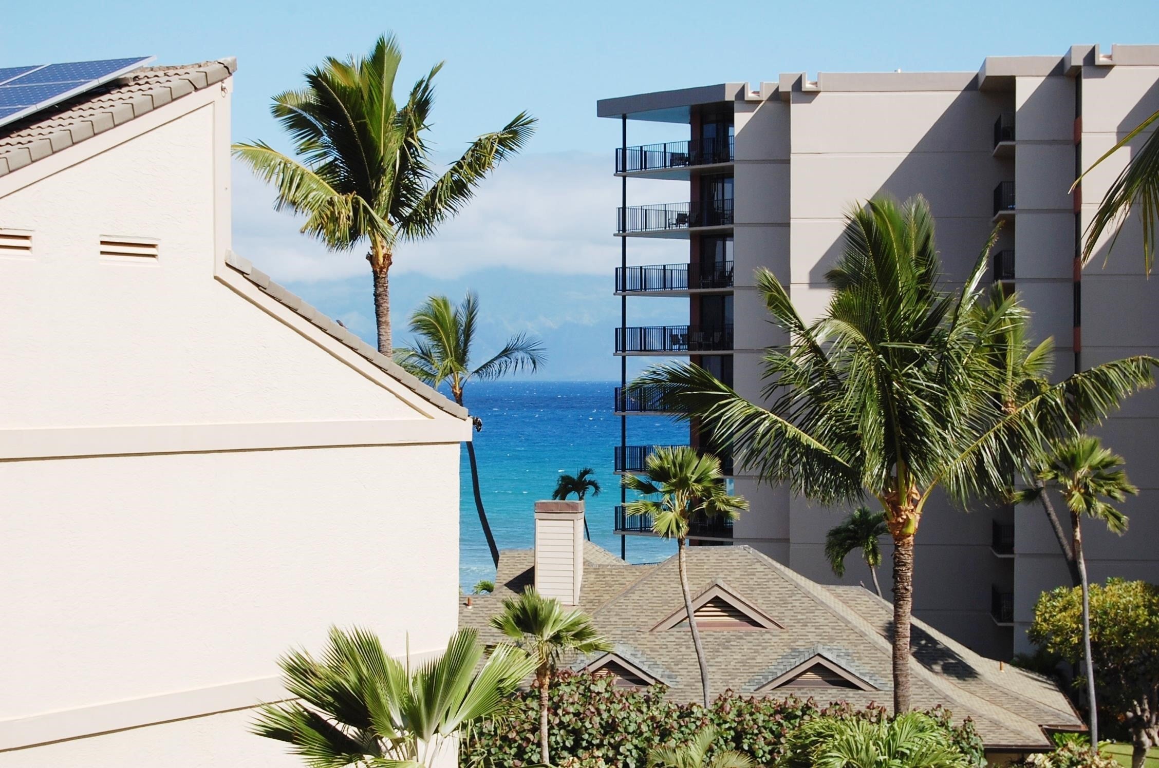 3445 Lower Honoapiilani Rd 551