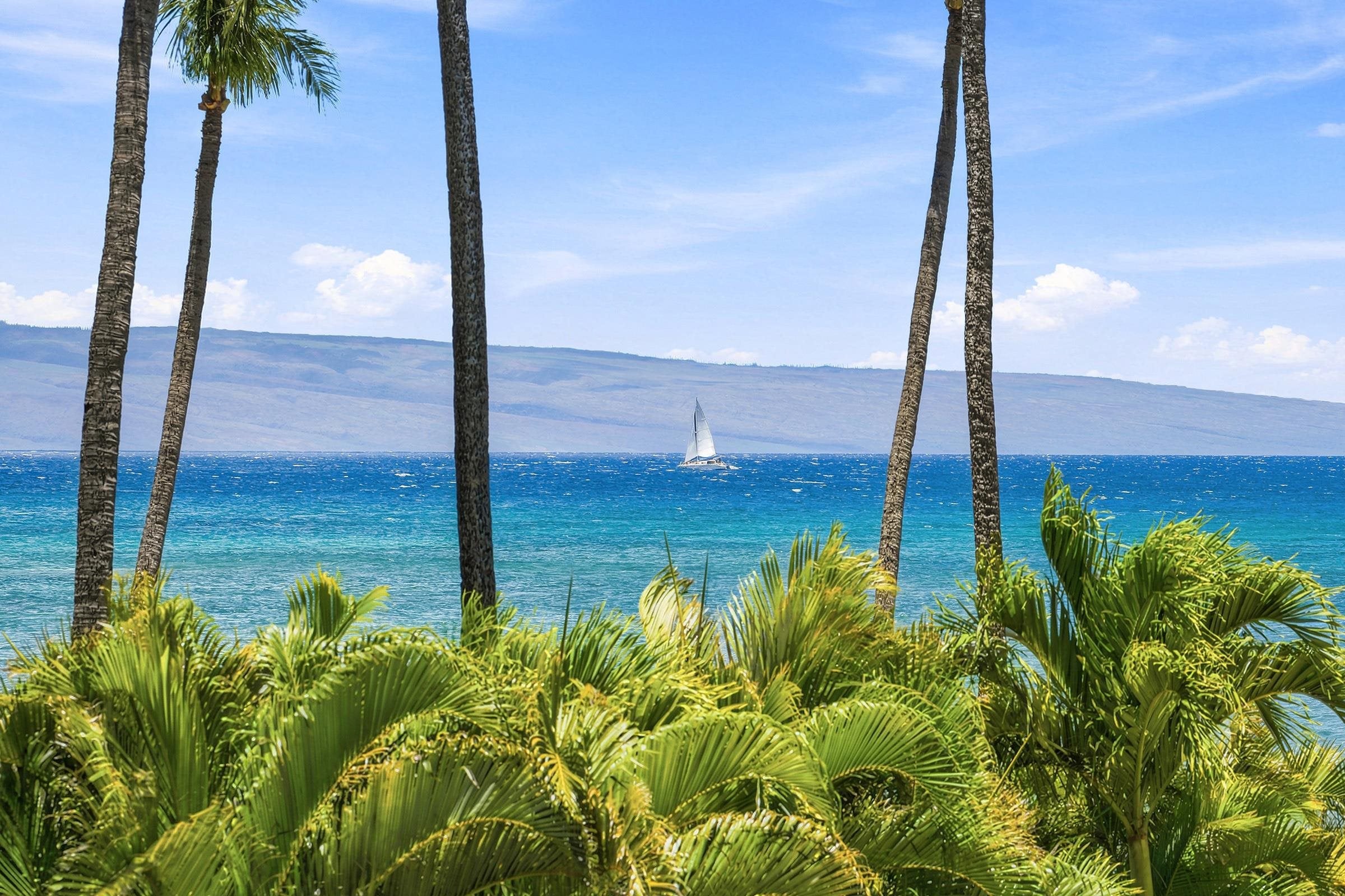 4365 Lower Honoapiilani Rd 216