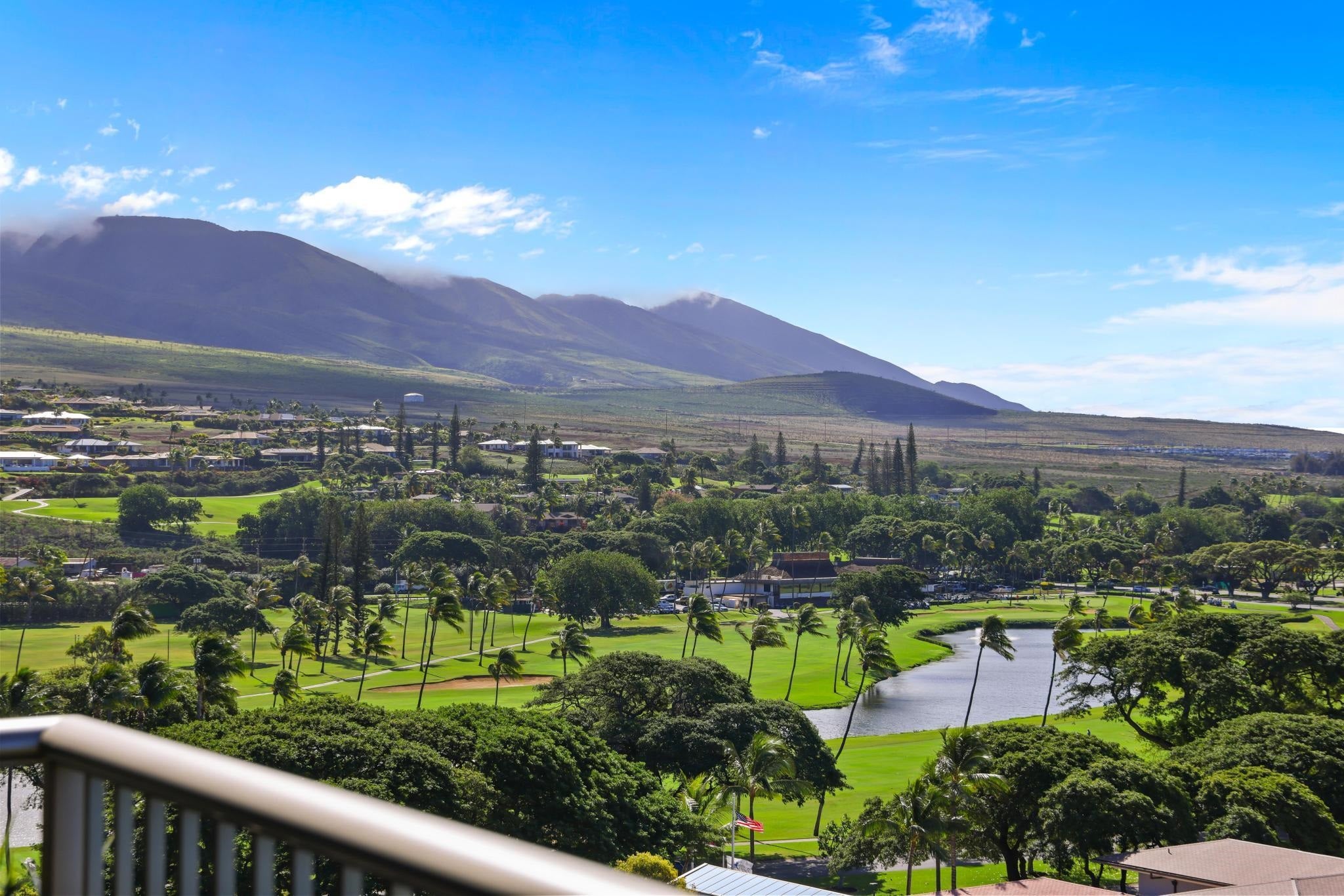 2481 Kaanapali Pkwy 1165