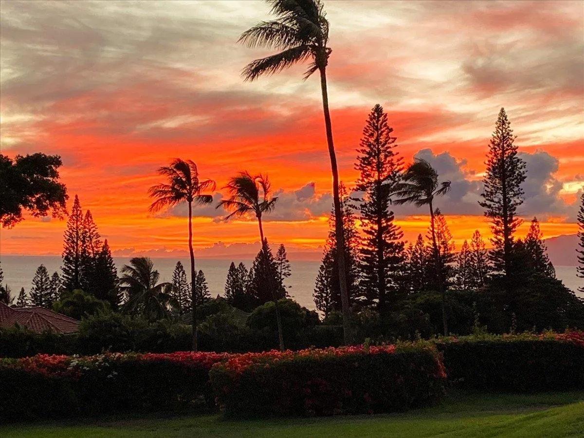 Lahaina, Hawaii 96761, United States, 2 Bedrooms Bedrooms, ,2 BathroomsBathrooms,Residential,Active,222718