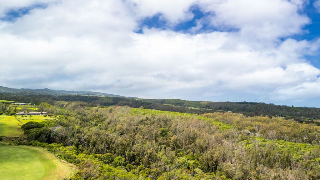 Photo of 0 Plantation Estates Dr, Lahaina, HI 96761 (MLS # 407242)