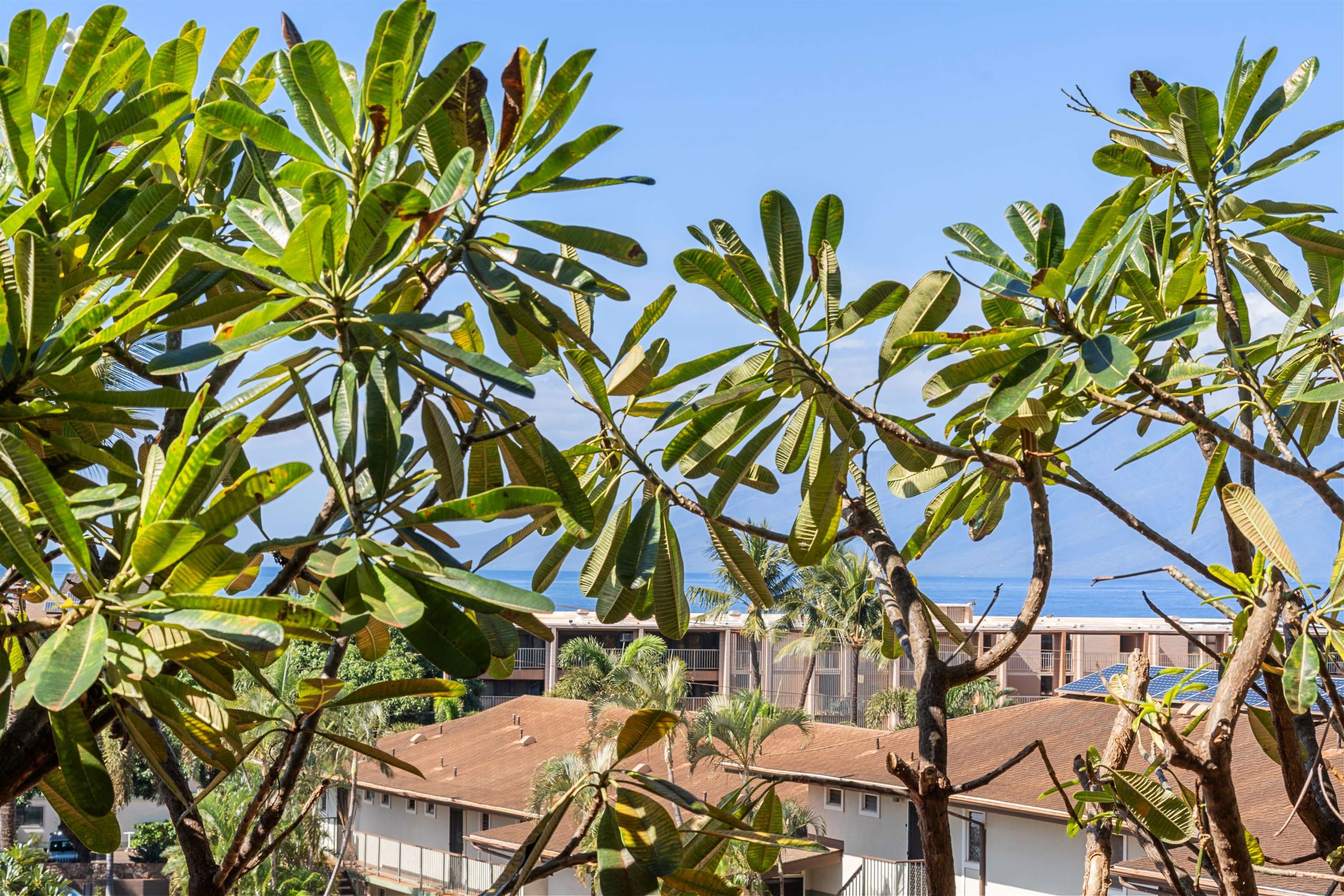 3740 Lower Honoapiilani Rd C207