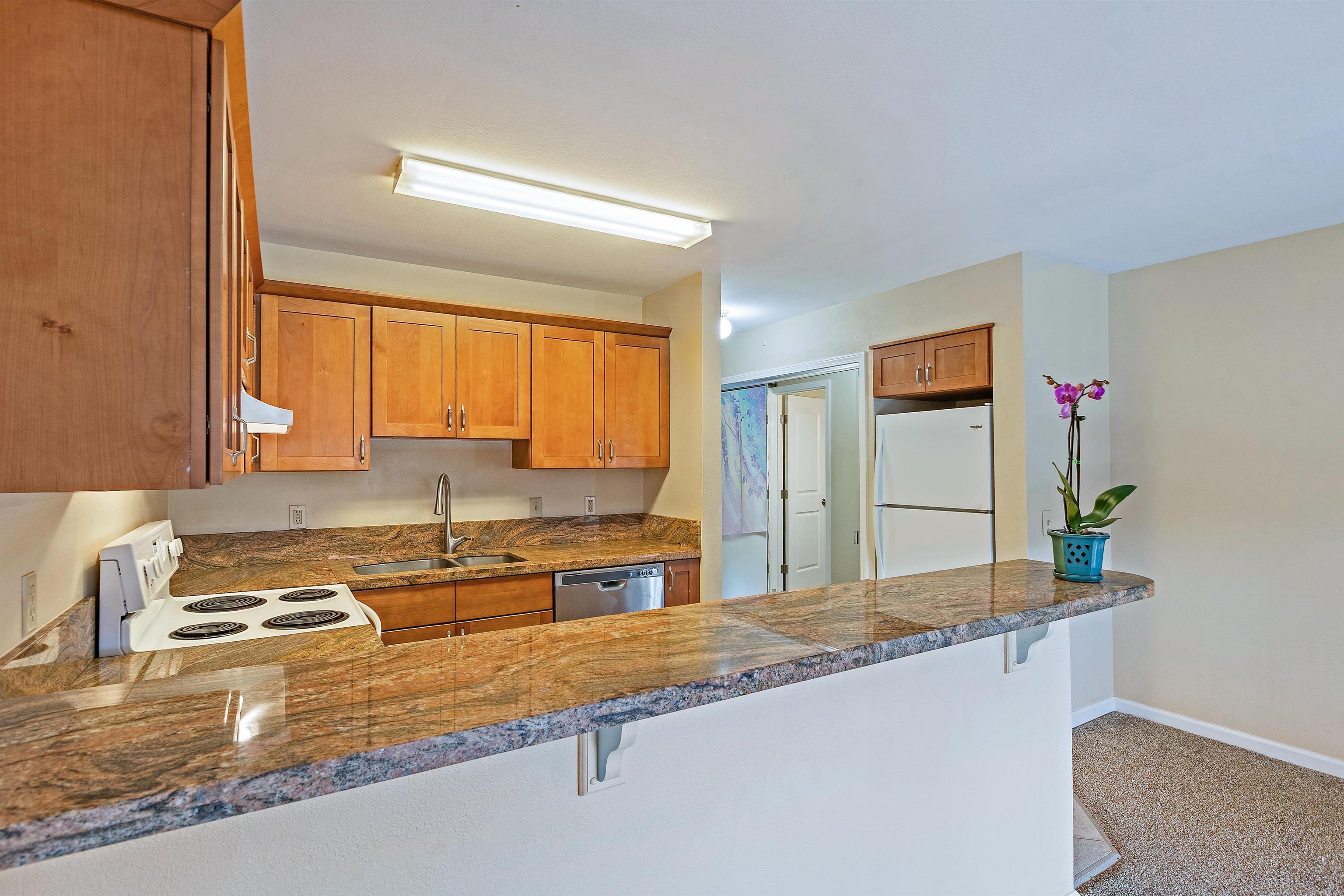 3740 Lower Honoapiilani Rd D305