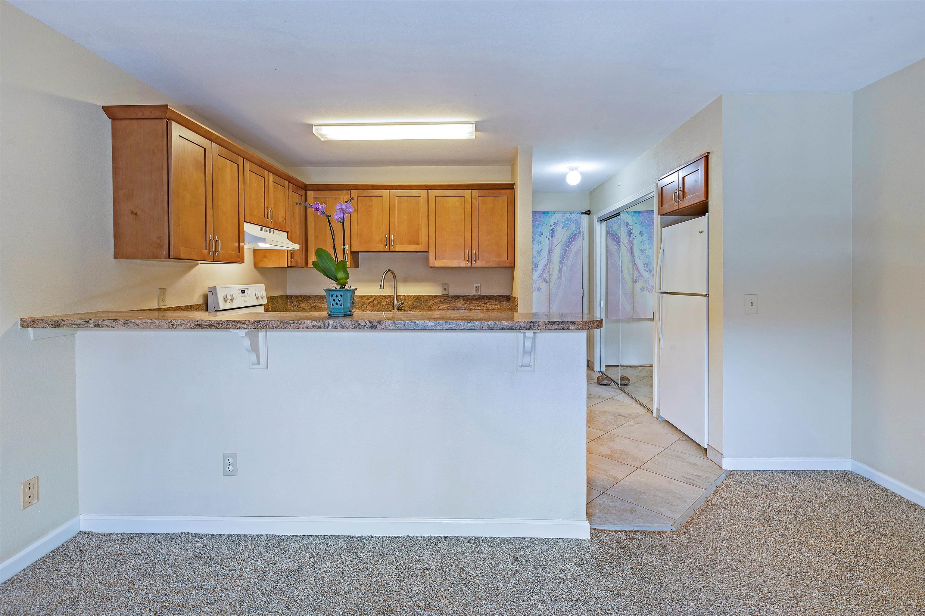 3740 Lower Honoapiilani Rd D305