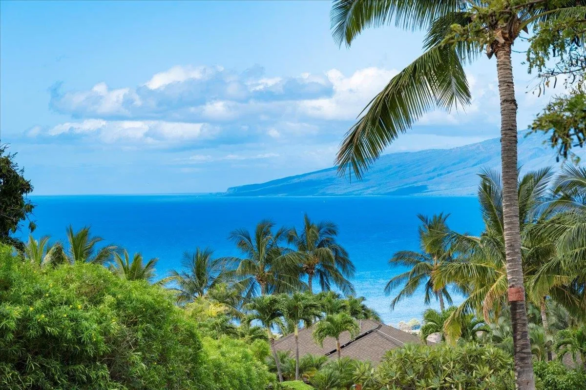 Lahaina, Hawaii 96761, United States, ,Land,Active,99242