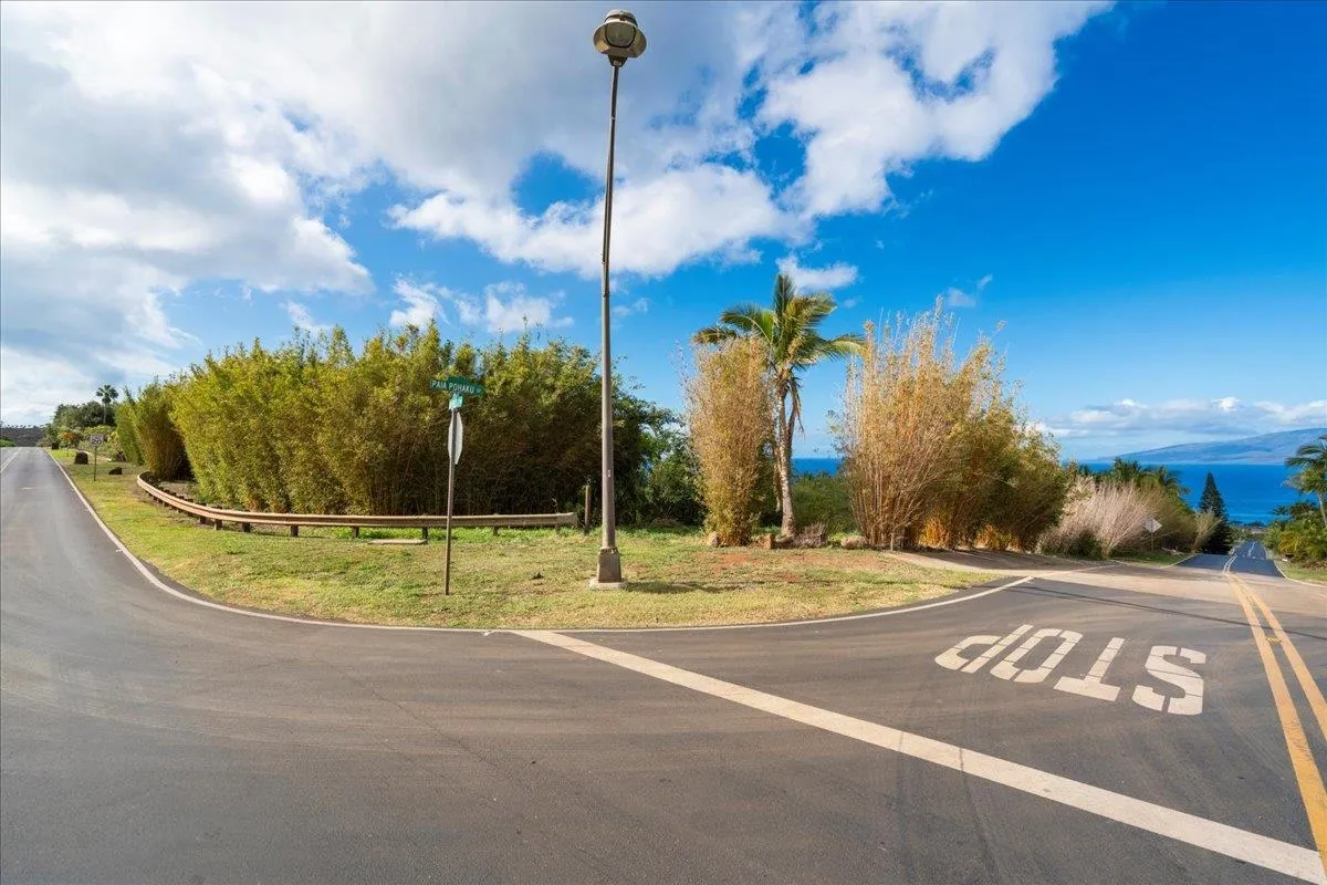 Lahaina, Hawaii 96761, United States, ,Land,Active,99242