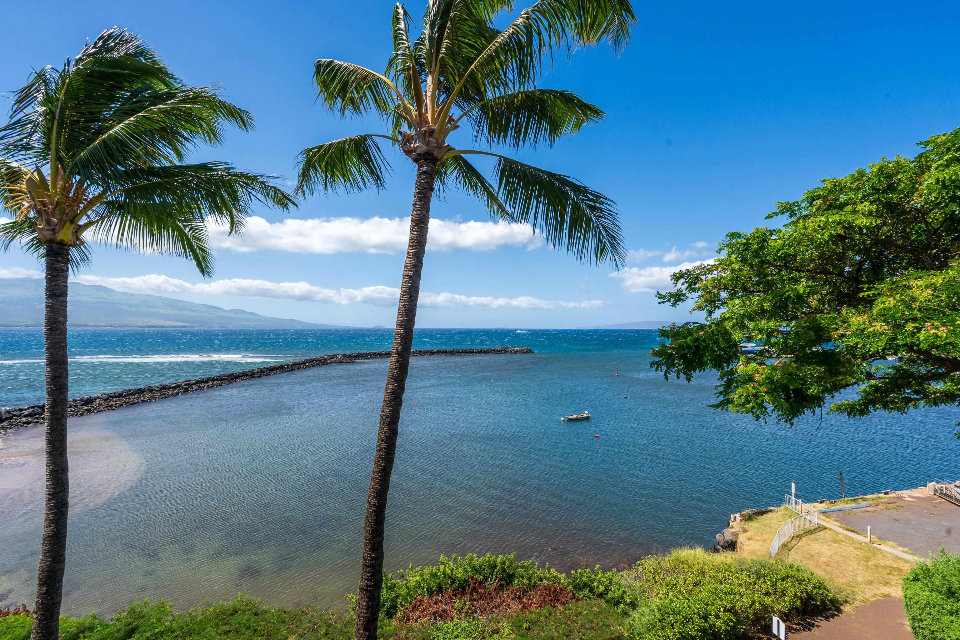 30 Hauoli St 410