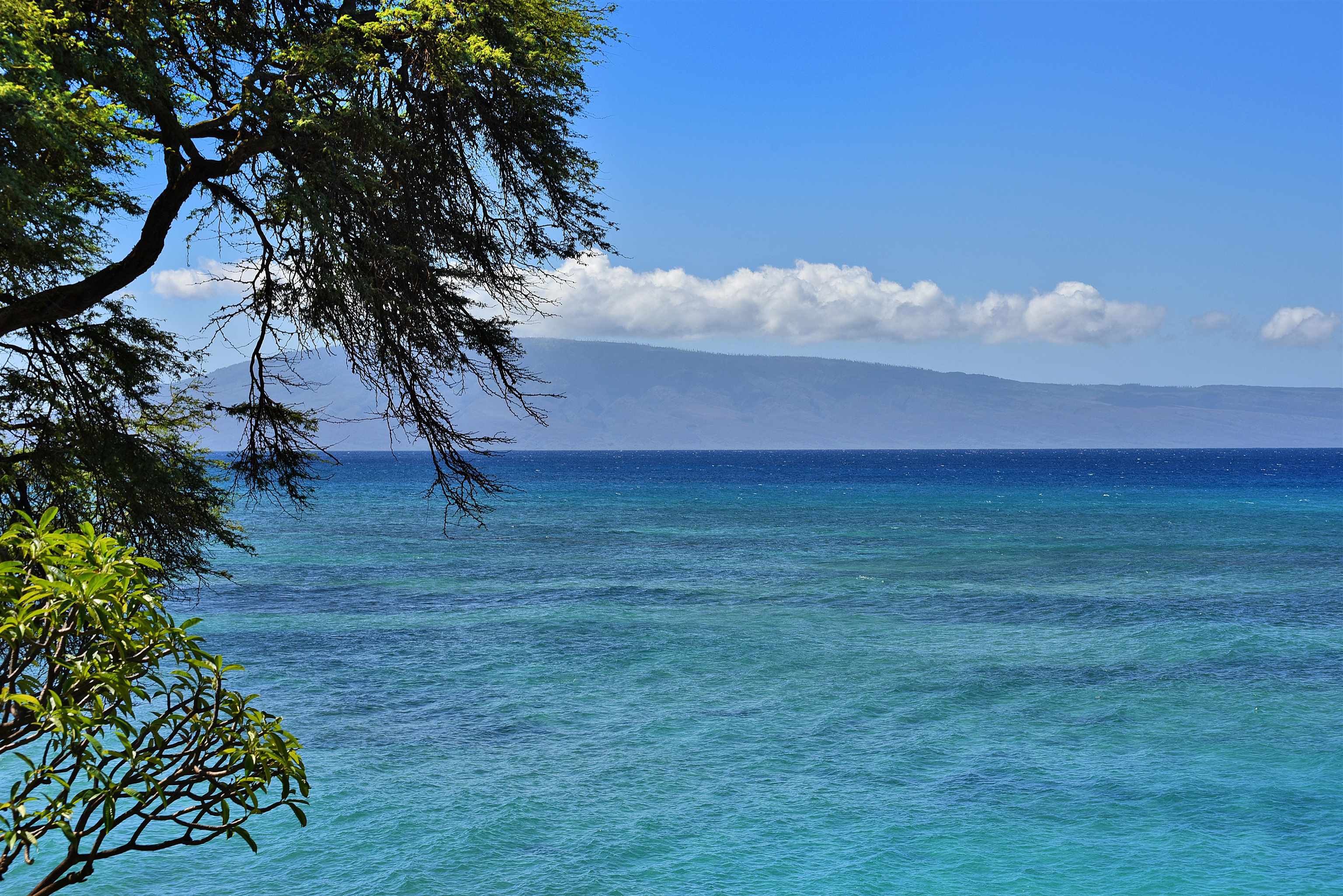 3959 Lower Honoapiilani Rd 709