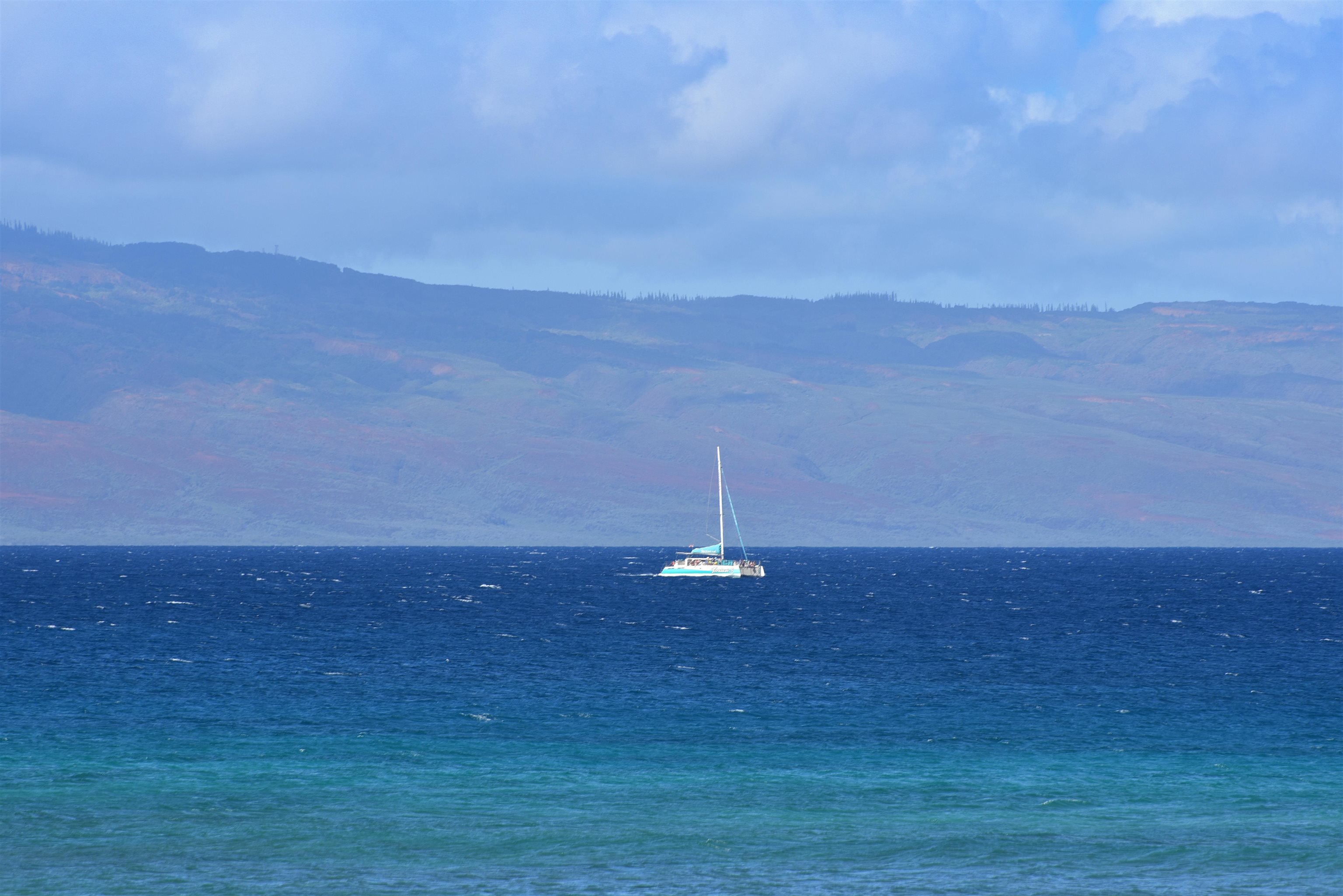 3959 Lower Honoapiilani Rd 709