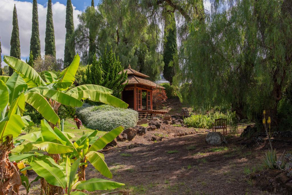 Photo of 358 Holopuni Rd, Kula, HI 96790 (MLS # 407413)