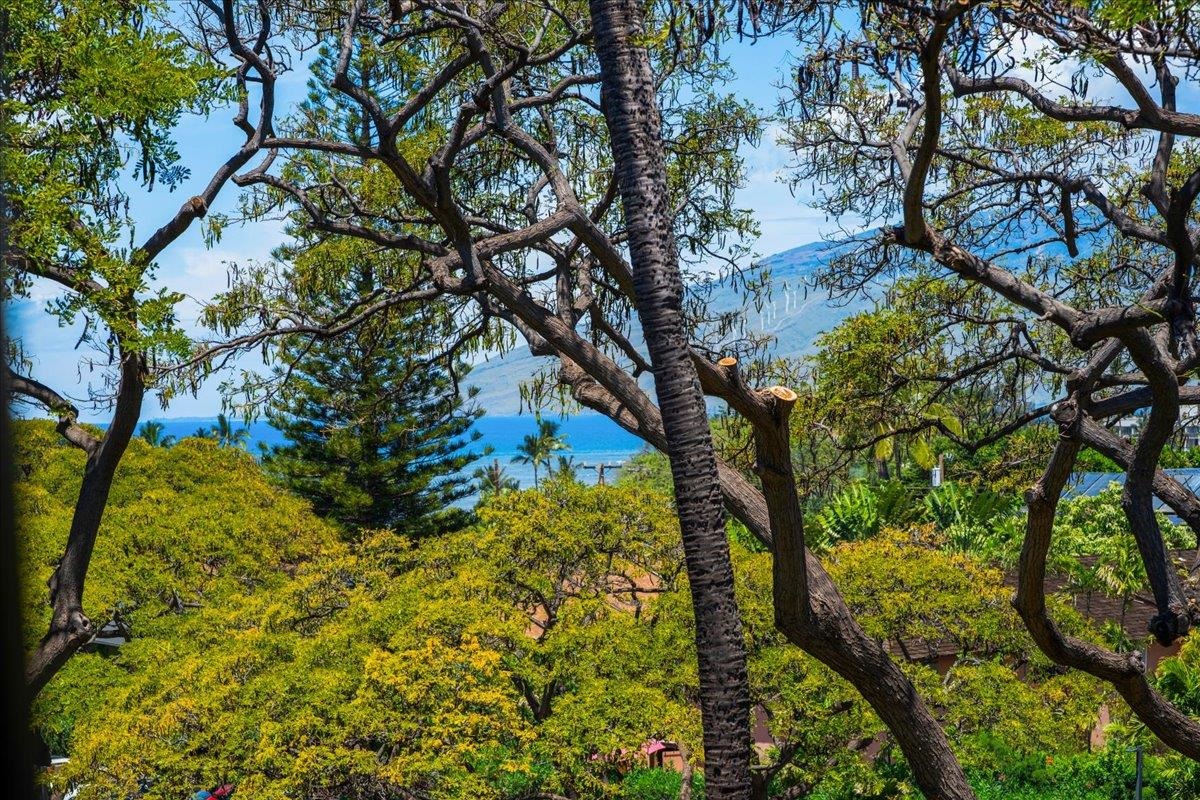 2191 S Kihei Rd 2419