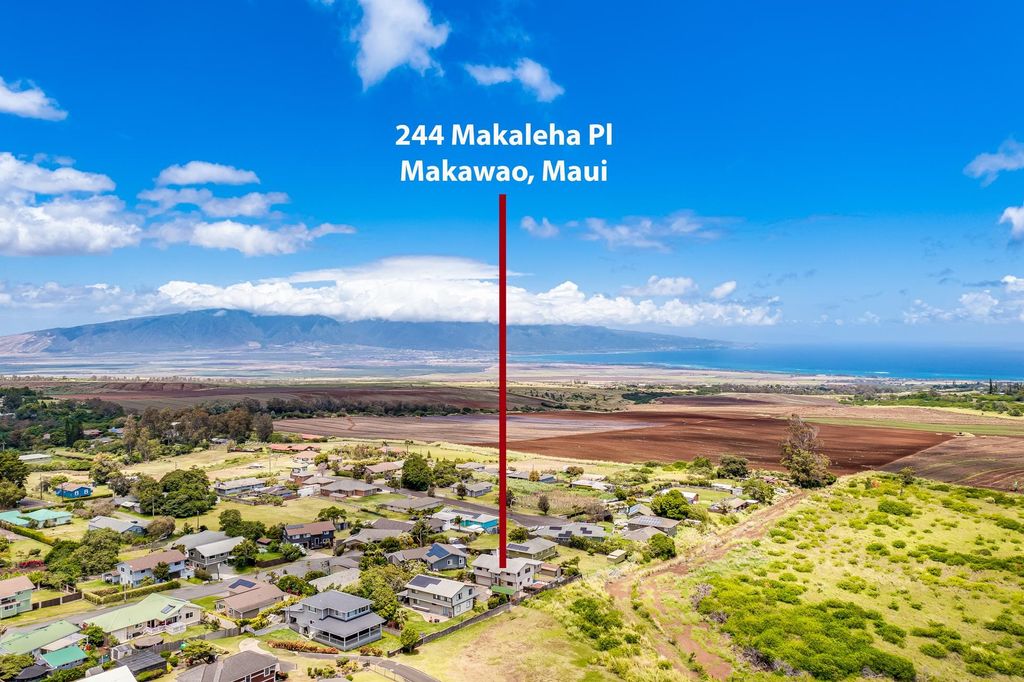 Photo of 244 N Makaleha Pl, Makawao, HI 96768 (MLS # 405978)