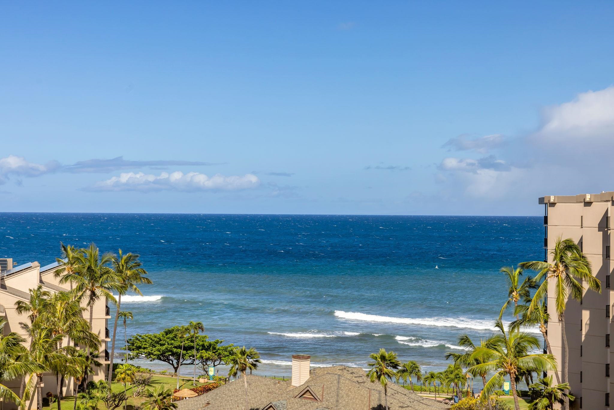 3445 Lower Honoapiilani Rd 925