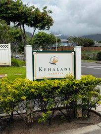 676 Meakanu Ln 1305 Wailuku HI 96793