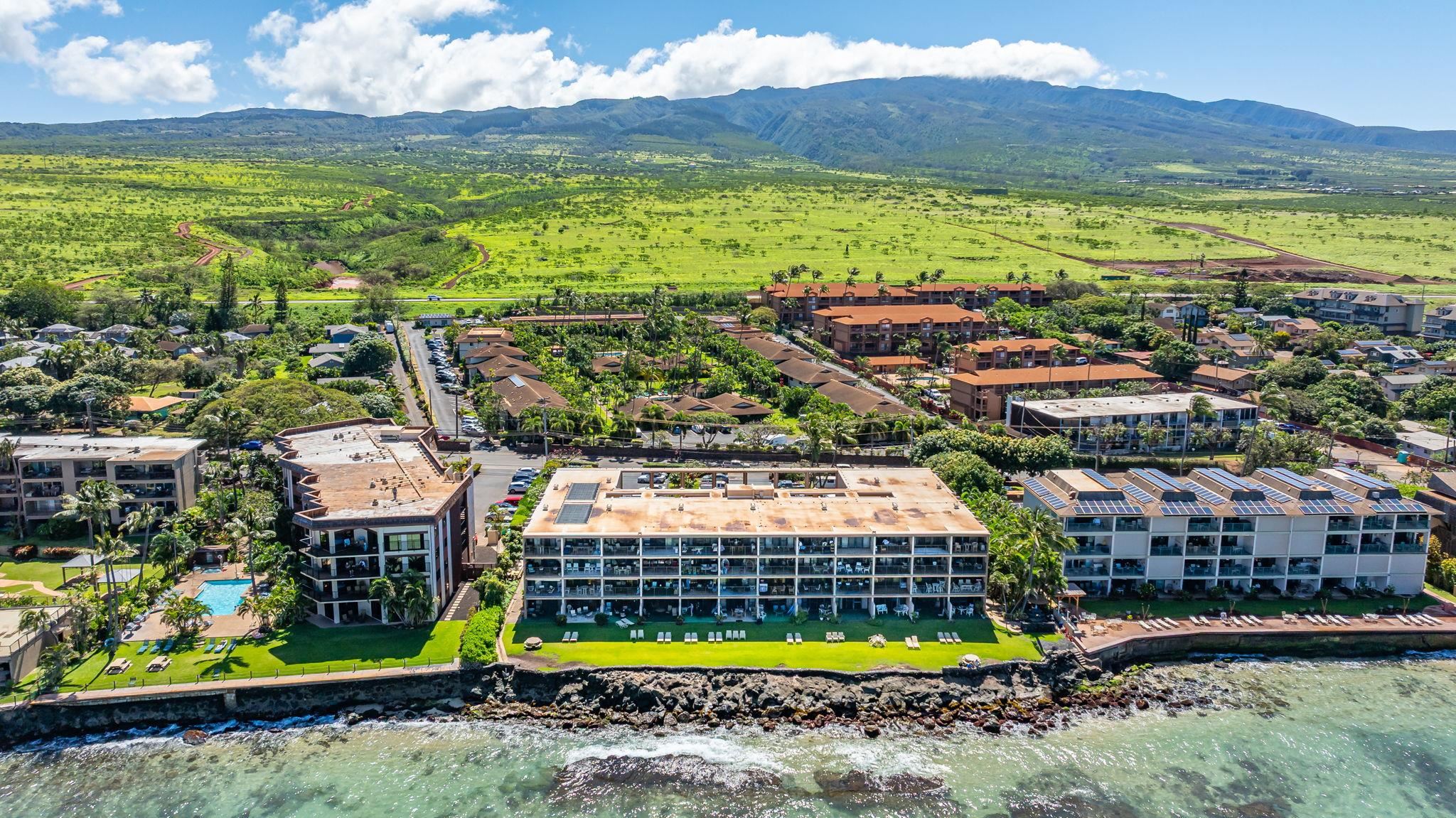 3785 Lower Honoapiilani Rd 103