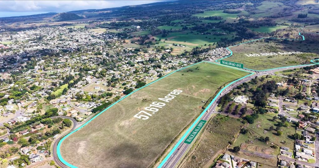 Photo of Makani Rd, Makawao, HI 96768 (MLS # 408106)